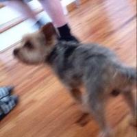 Avatar of Alex or Oleg Rubinchik