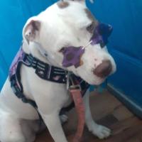 Avatar of charliebren96