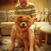 Avatar of charuto2022