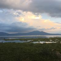 Pierre Solange Coqauvin Mousse DeLaMer Briesonbless's avatar