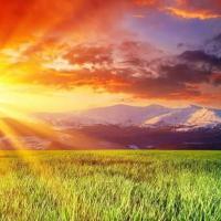 Avatar of Checkmate12379