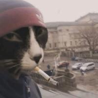 Yahya Chelly's avatar