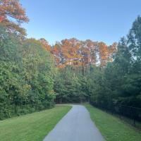 Avatar of Chess1million536