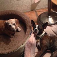 Avatar of Deep Deep Deep Deep Confusion