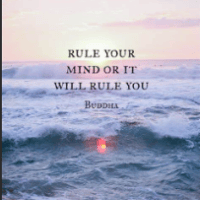 Avatar of Chess_Biscuit