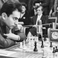 Avatar of marjan owrangi