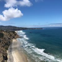 Avatar of chessduke000