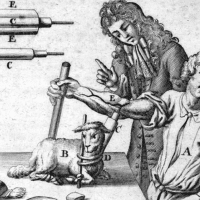 Avatar of Emily Brossard