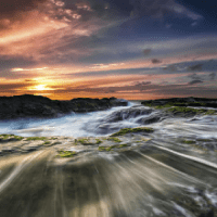 Avatar of Ma Zhonghan