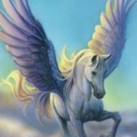 Avatar of Suresh Harsh