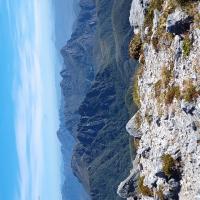 Avatar of Brodie McClymont