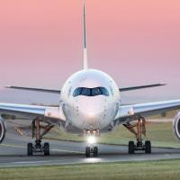 Pranav Sairam's avatar