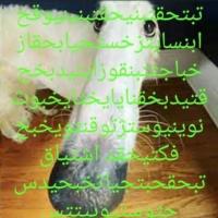 Avatar of Hello everybody my name is welcome