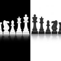 Avatar of Polina Moskvina