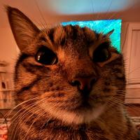 Avatar of Riley Shannon