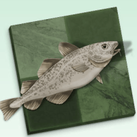 Lucas Foerster-Yialamas's avatar