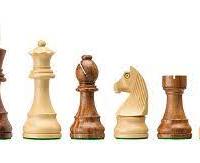 Mark Van Essen's avatar