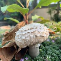 Jonathan Baker's avatar