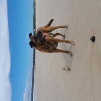 Avatar of Russell Evans