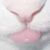 Yeonhee Cho's avatar