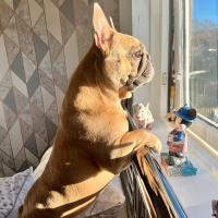 Avatar of Chris Anderson