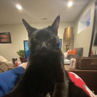 Avatar of Sam Latimer