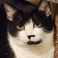 Avatar of Stella Cluff