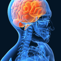 Avatar of Dan Vasiesiu