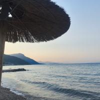 Avatar of Cococarabelli