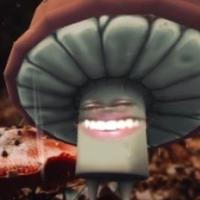 Avatar of Mateus Birtan