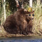 Shreya Mangalam's avatar