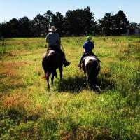 Avatar of CowboyKings