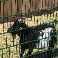 Avatar of CrackHouseChess