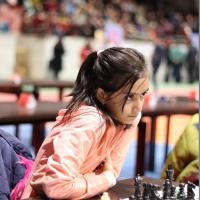 Melika Mohammadi's avatar