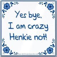 Avatar of Henk Schell