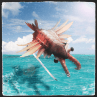 Avatar of Simon D'Hondt