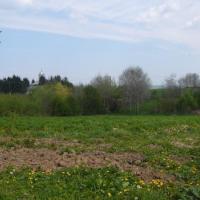 Avatar of Cristian Niculescu