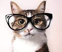 Rafael Escalante Ramirez's avatar