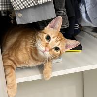 Avatar of Daniel Pasán