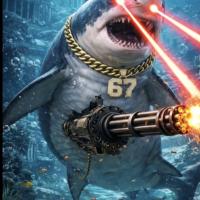 Avatar of Nazar Talgatov