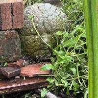 Avatar of darren2222b