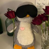 Avatar of Chris King