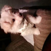 Avatar of Default-Aggressive