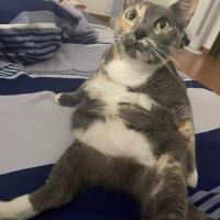 Avatar of dante mogollón