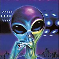 Avatar of Denni Lipic