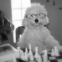 Diego Mauricio Ramirez Buitrago's avatar