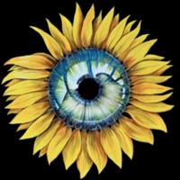 Avatar of tornike vega