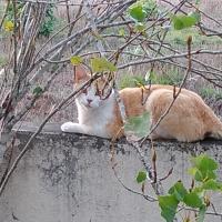 Avatar of David Reyes