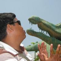 Avatar of fernando bingbing