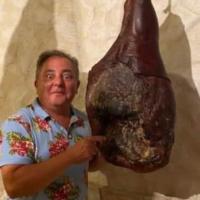 Avatar of disco-lama